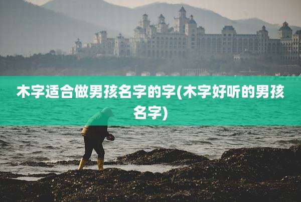 木字适合做男孩名字的字(木字好听的男孩名字)