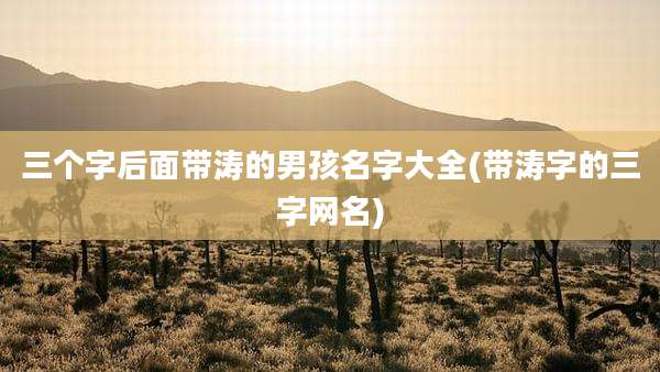 三个字后面带涛的男孩名字大全(带涛字的三字网名)