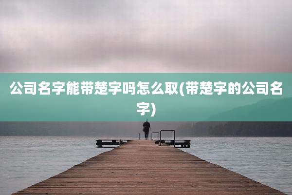 公司名字能带楚字吗怎么取(带楚字的公司名字)