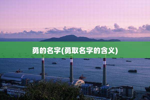 勇的名字(勇取名字的含义)