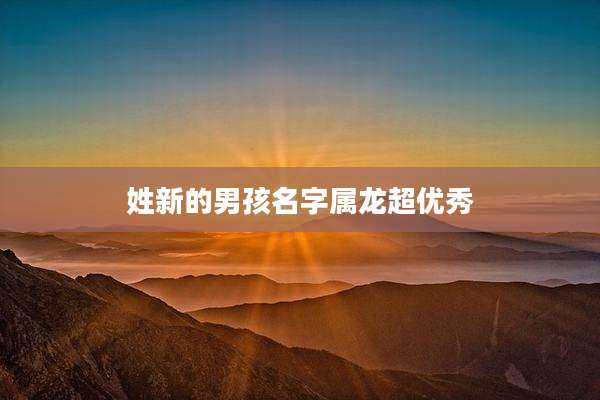 姓新的男孩名字属龙超优秀