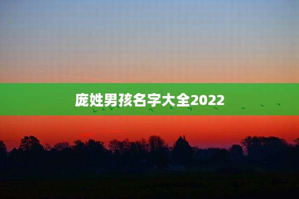 庞姓男孩名字大全2022