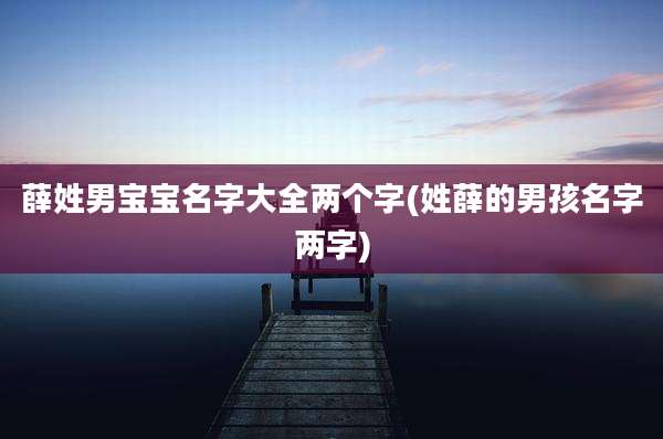 薛姓男宝宝名字大全两个字(姓薛的男孩名字两字)