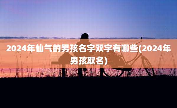 2024年仙气的男孩名字双字有哪些(2024年男孩取名)