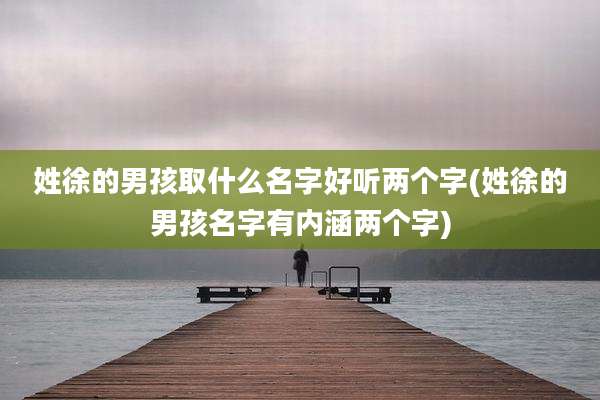 姓徐的男孩取什么名字好听两个字(姓徐的男孩名字有内涵两个字)