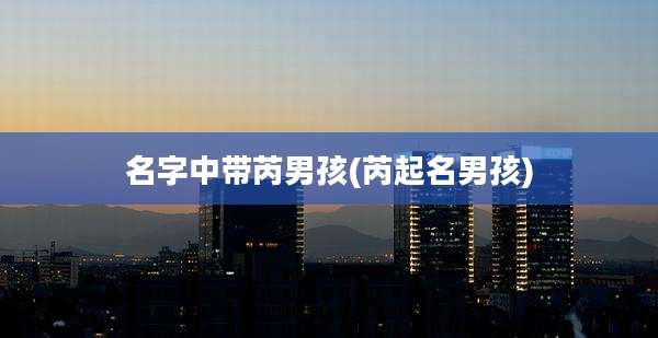 名字中带芮男孩(芮起名男孩)