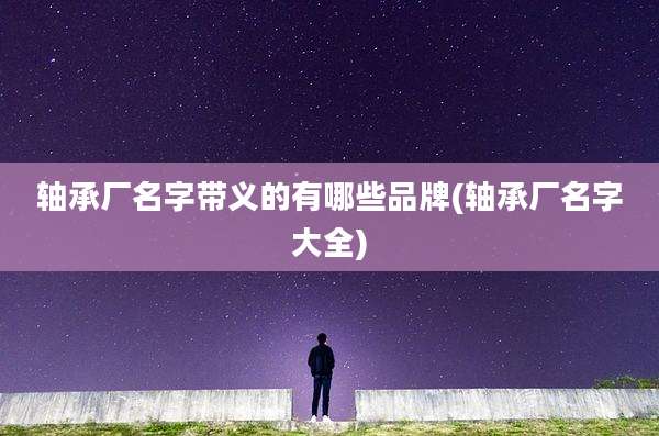 轴承厂名字带义的有哪些品牌(轴承厂名字大全)