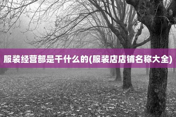 服装经营部是干什么的(服装店店铺名称大全)