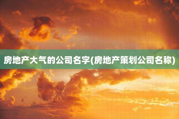 房地产大气的公司名字(房地产策划公司名称)