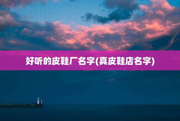 好听的皮鞋厂名字(真皮鞋店名字)