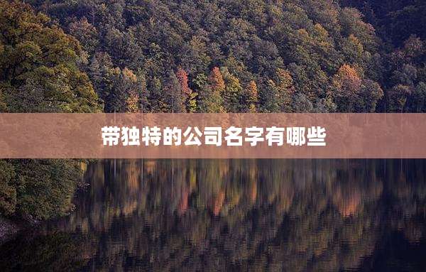 带独特的公司名字有哪些