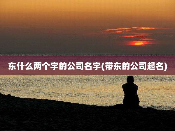 东什么两个字的公司名字(带东的公司起名)