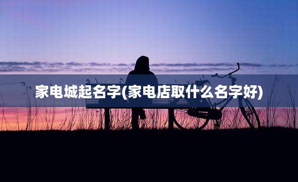 家电城起名字(家电店取什么名字好)
