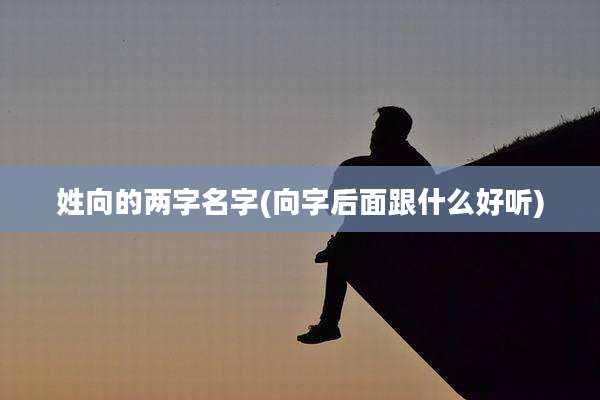 姓向的两字名字(向字后面跟什么好听)