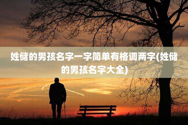 姓储的男孩名字一字简单有格调两字(姓储的男孩名字大全)