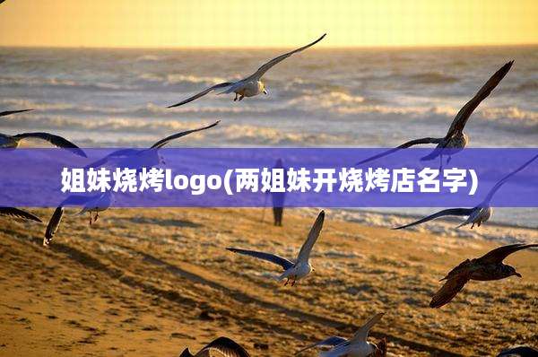 姐妹烧烤logo(两姐妹开烧烤店名字)
