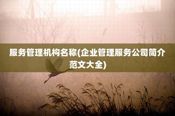 服务管理机构名称(企业管理服务公司简介范文大全)