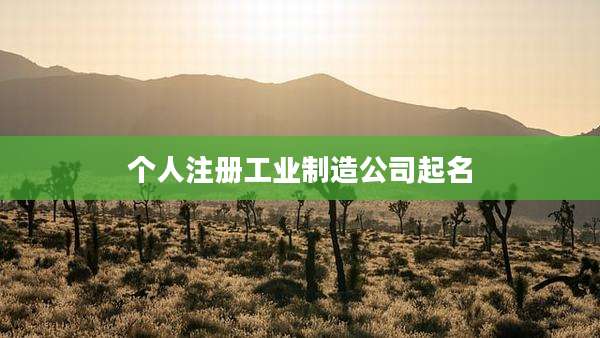 个人注册工业制造公司起名