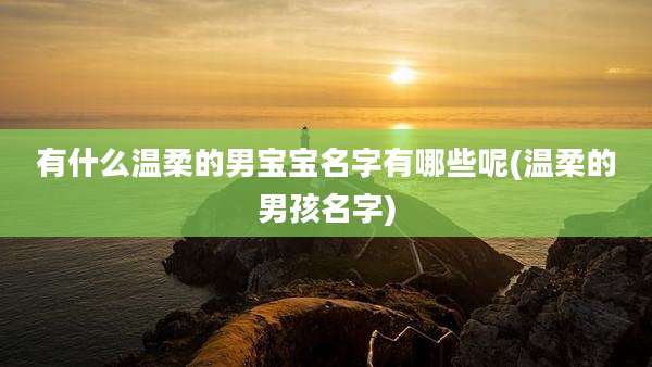 有什么温柔的男宝宝名字有哪些呢(温柔的男孩名字)