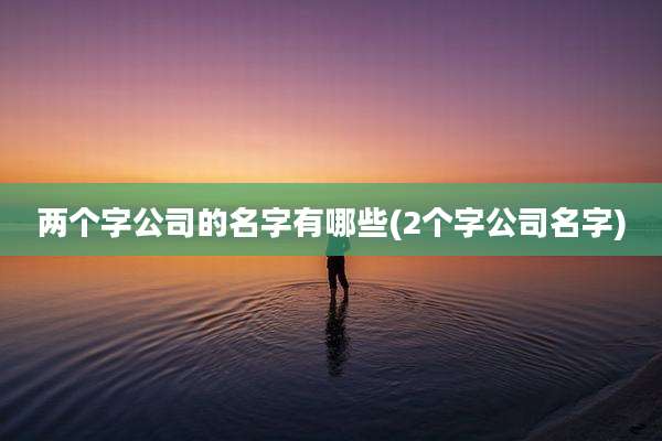 两个字公司的名字有哪些(2个字公司名字)
