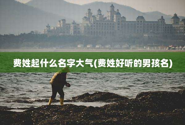 费姓起什么名字大气(费姓好听的男孩名)