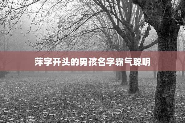 萍字开头的男孩名字霸气聪明