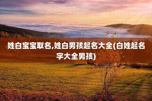 姓白宝宝取名,姓白男孩起名大全(白姓起名字大全男孩)