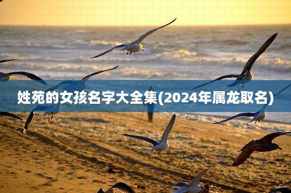姓苑的女孩名字大全集(2024年属龙取名)