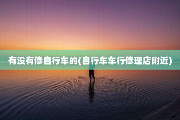 有没有修自行车的(自行车车行修理店附近)