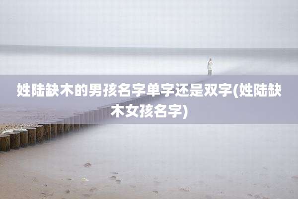 姓陆缺木的男孩名字单字还是双字(姓陆缺木女孩名字)