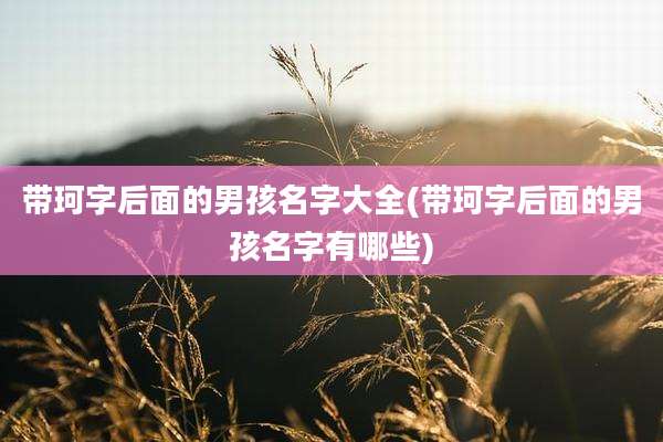 带珂字后面的男孩名字大全(带珂字后面的男孩名字有哪些)