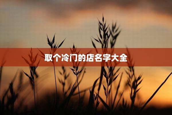 取个冷门的店名字大全