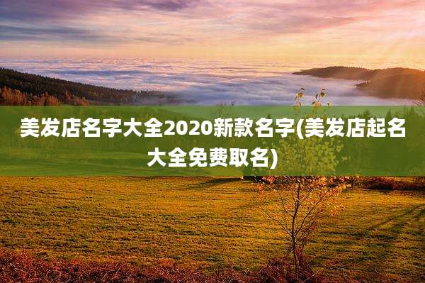 美发店名字大全2020新款名字(美发店起名大全免费取名)