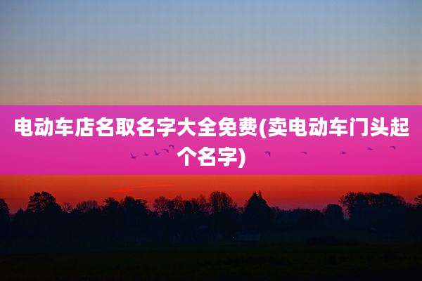 电动车店名取名字大全免费(卖电动车门头起个名字)