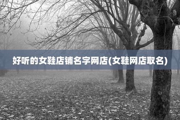 好听的女鞋店铺名字网店(女鞋网店取名)