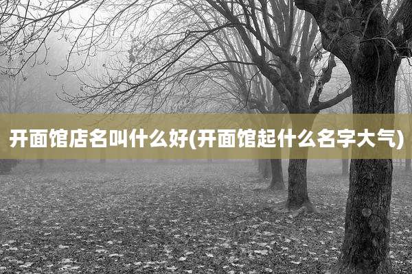 开面馆店名叫什么好(开面馆起什么名字大气)