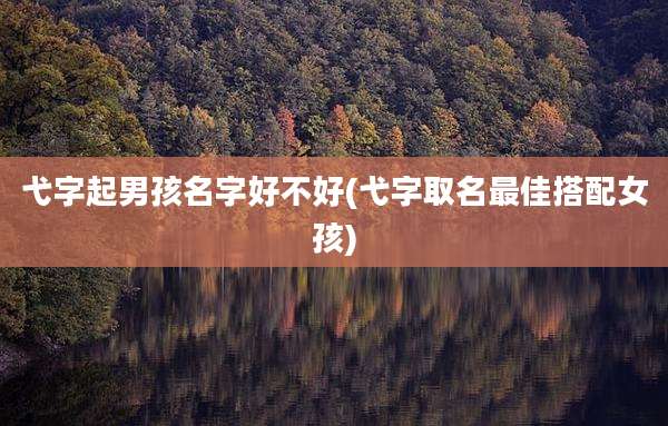 弋字起男孩名字好不好(弋字取名最佳搭配女孩)