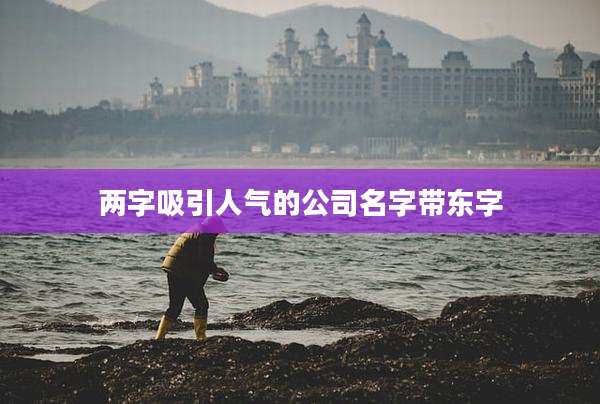 两字吸引人气的公司名字带东字