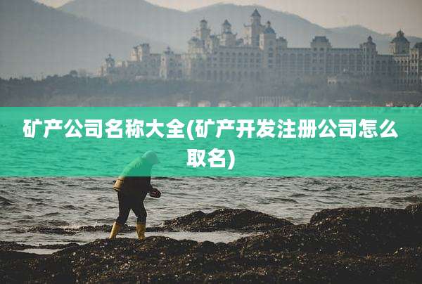 矿产公司名称大全(矿产开发注册公司怎么取名)