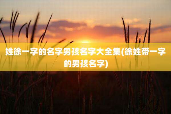 姓徐一字的名字男孩名字大全集(徐姓带一字的男孩名字)