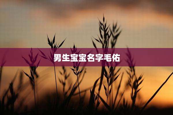 男生宝宝名字毛佑