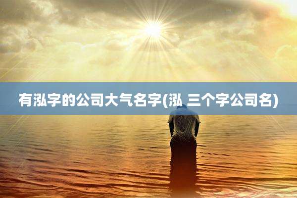 有泓字的公司大气名字(泓 三个字公司名)