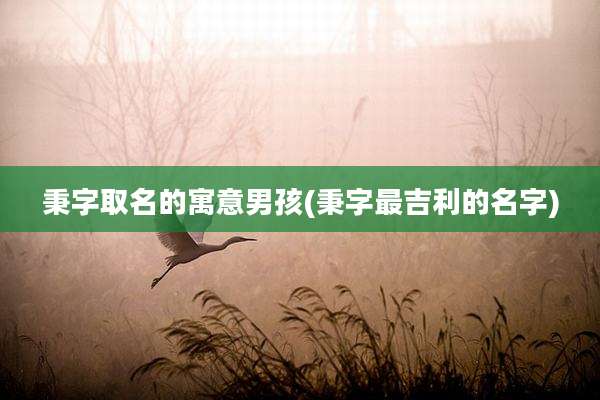 秉字取名的寓意男孩(秉字最吉利的名字)