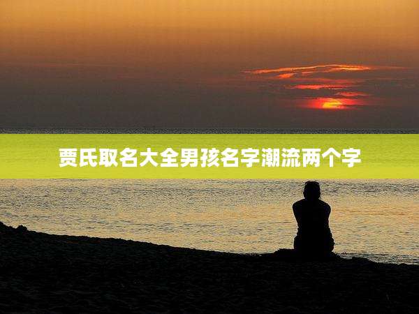 贾氏取名大全男孩名字潮流两个字
