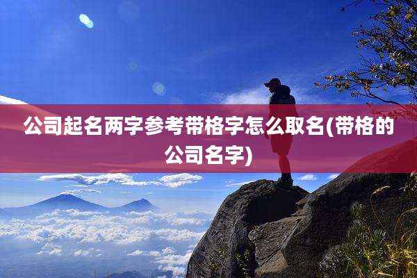 公司起名两字参考带格字怎么取名(带格的公司名字)