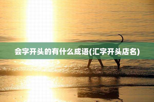 会字开头的有什么成语(汇字开头店名)