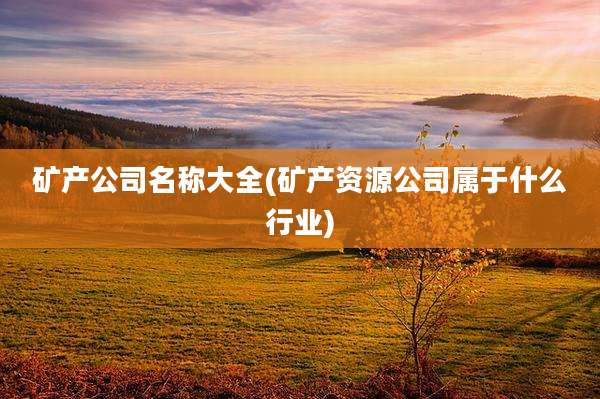矿产公司名称大全(矿产资源公司属于什么行业)