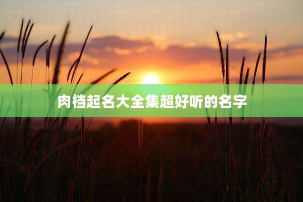 肉档起名大全集超好听的名字
