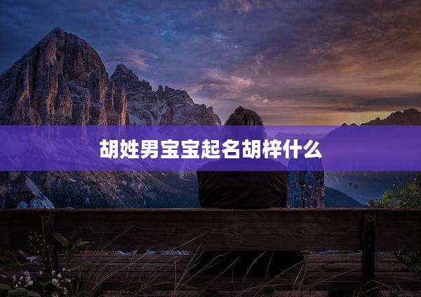 胡姓男宝宝起名胡梓什么