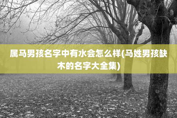 属马男孩名字中有水会怎么样(马姓男孩缺木的名字大全集)